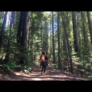 Meet your Posher, Rosalyn